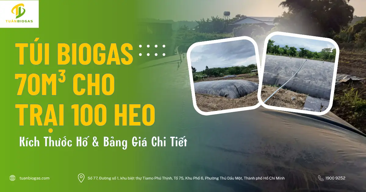 Túi Biogas 70 Khối Cho Trang Trại 100 Con Heo: Kích Thước Hố Và Bảng Giá Chi Tiết